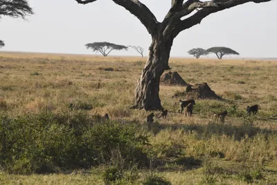 DSC_3797 (Large).JPG